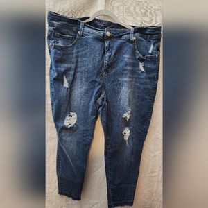 7 Jeans Melissa Mccarthy distressed